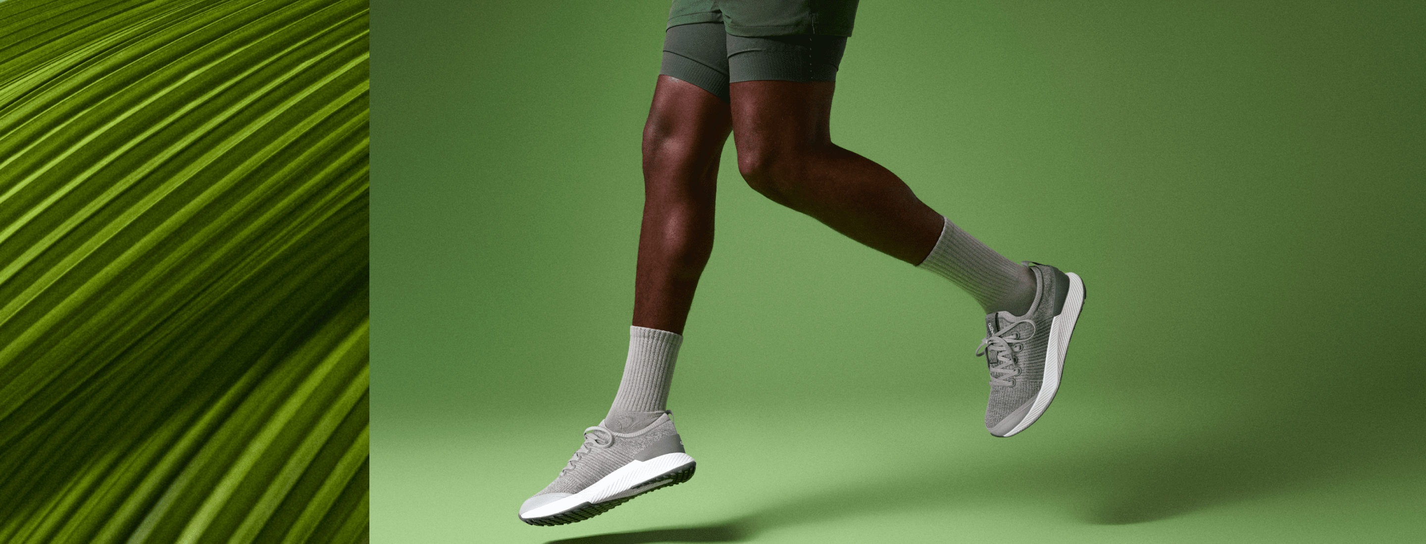 Allbirds Store