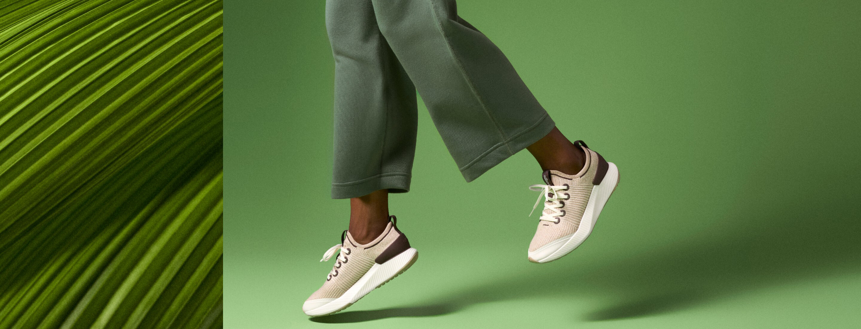Allbirds Store